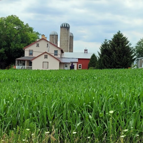 Private Countryside Back Roads Tour  - Tues, Thurs, Sat (2-23 People)